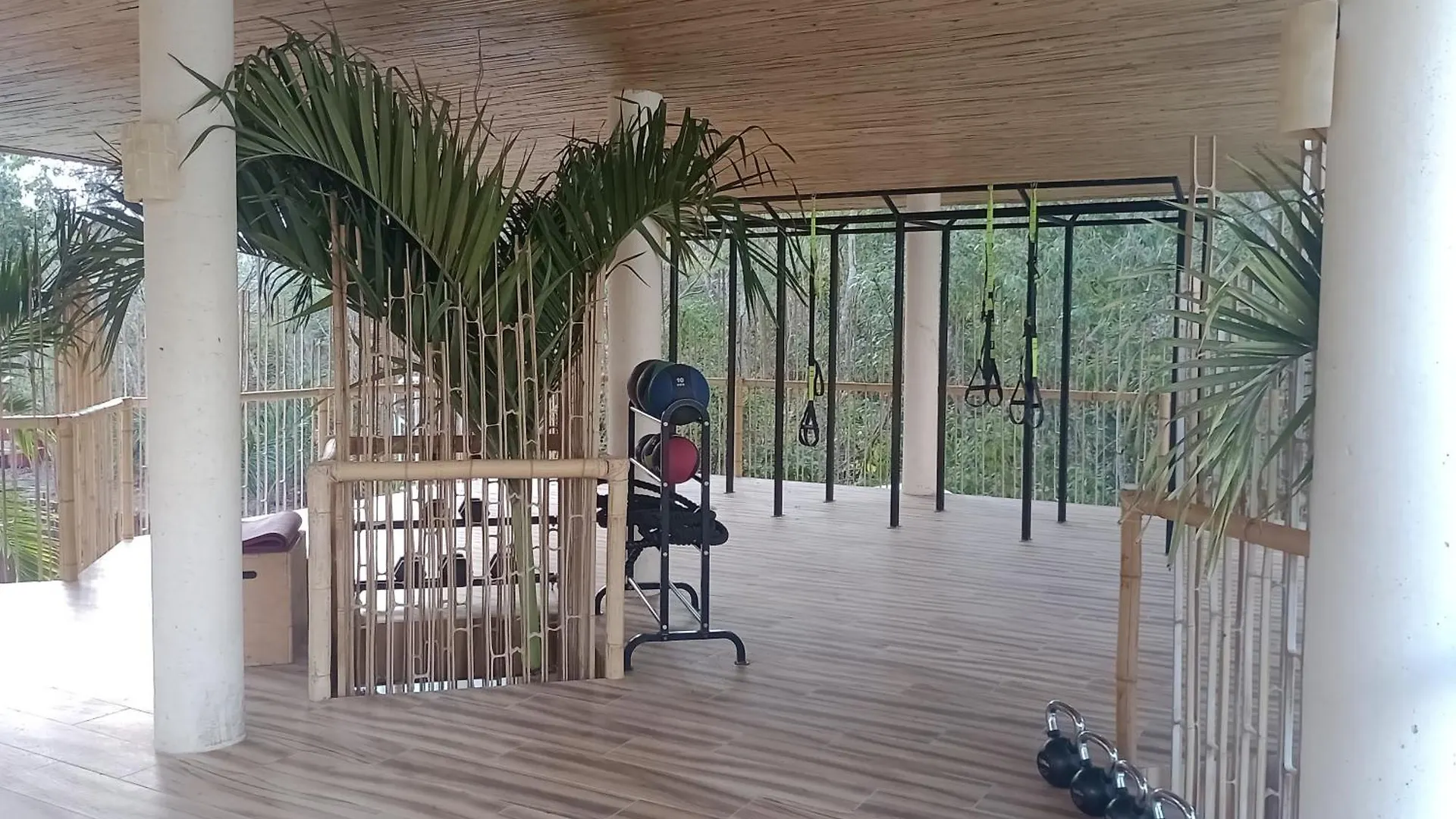 Estudios En Muuk Tulum Mexikó